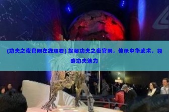 (功夫之夜官网在线观看) 探秘功夫之夜官网，传承中华武术，领略功夫魅力