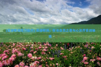 (花语牧场简介图片) 花语牧场，探寻自然之美与心灵疗愈的秘境