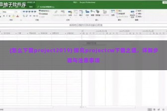 (怎么下载project2019) 探究projectcw下载之道，详解步骤与注意事项