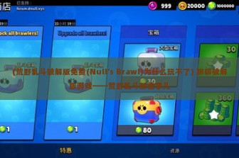 (荒野乱斗破解版免费(Null’s Brawl)为什么玩不了) 聊聊破解版游戏——荒野乱斗那些事儿