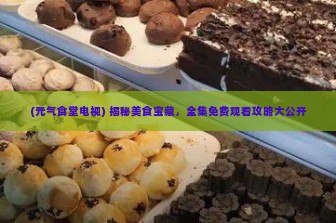 (元气食堂电视) 揭秘美食宝藏，全集免费观看攻略大公开