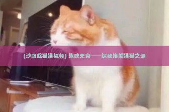 (沙雕躲猫猫视频) 趣味无穷——探秘傻帽猫猫之谜