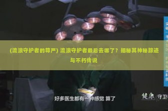 (流浪守护者的尊严) 流浪守护者最后去哪了？揭秘其神秘踪迹与不朽传说